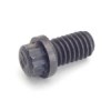 ferry_bolt