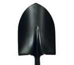 UNI45160.jpg