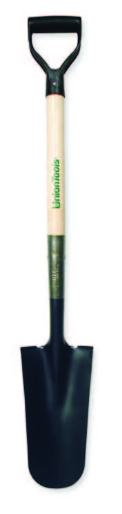 UNI46171.jpg
