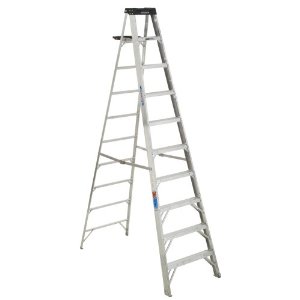 WER310.jpg