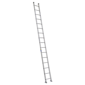 WER516-1.jpg