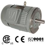 WWESSE518184TC.JPG