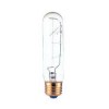 25_T_10_CL_BULBS_5192400da2348