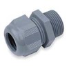APLCG5075