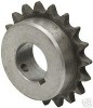 IDC80B10.jpg