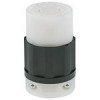 LEV2423