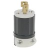 ML_1_P_LEVITON_M_5193ab9256bf4