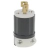 ML_2_P_LEVITON_M_5193abbd5507e