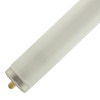 bulf84t12cw