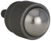 gen424003