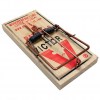rat-trap