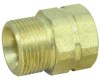 SUT010000563.jpg