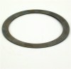 TORTRB1625.jpg