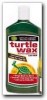 TURT123.jpg