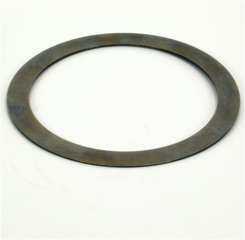 TORTRB1625.jpg